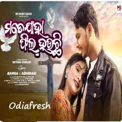 Mate Jaha Feel Hauchi